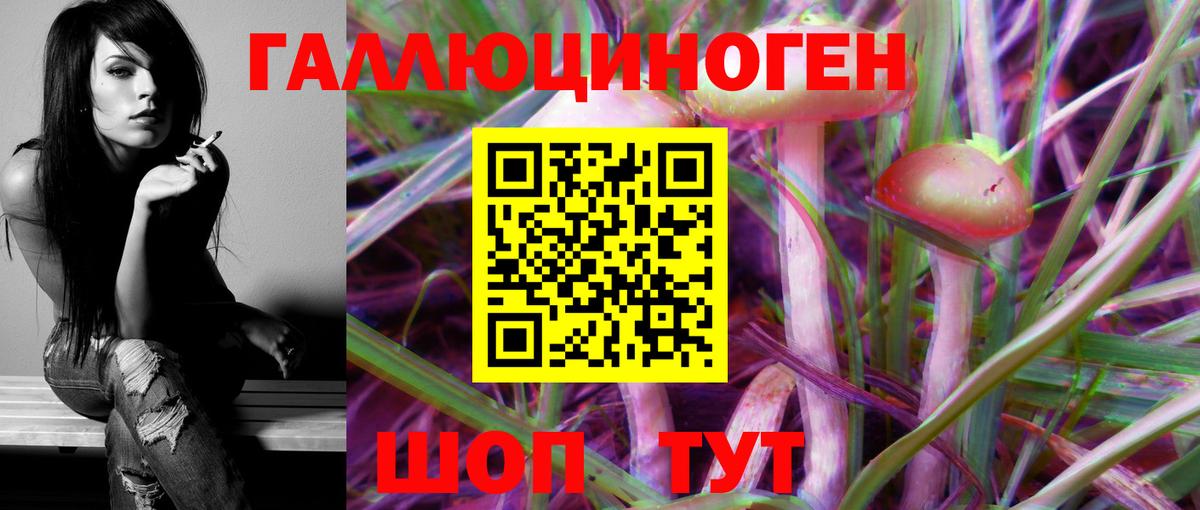 Галлюциногенные грибы Psilocybine cubensis Альметьевск